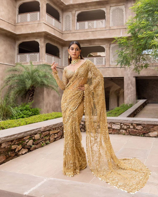 HEAVY NYLONE BUTTERFLY NET SAREE